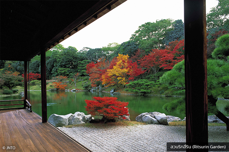 แนะนำสถานที่ท่องเที่ยวญี่ปุ่น ในฤดูแห่งความโรแมนติก