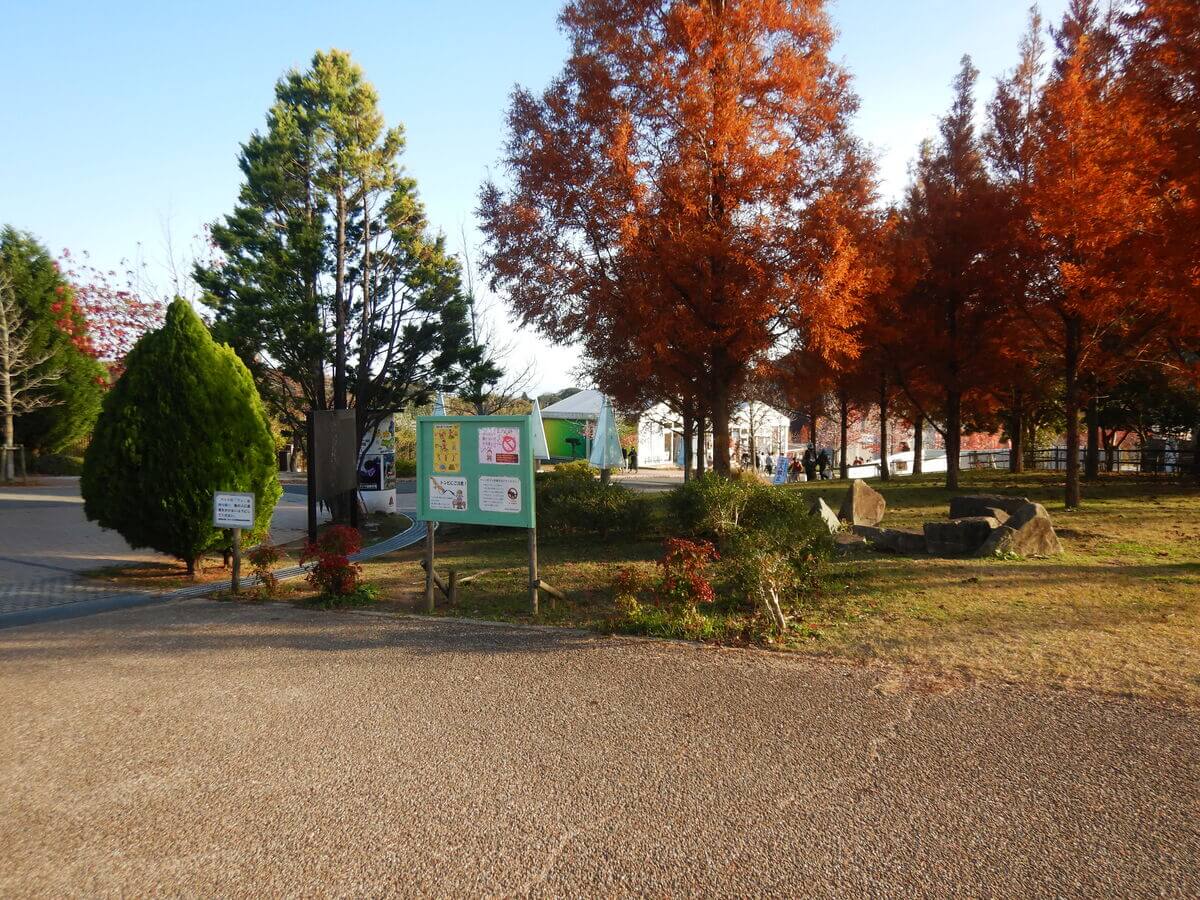 นิจิเกน โนะ โมะริ(Nijigen no Mori) สวนสนุกโกเบ เที่ยวโกเบ