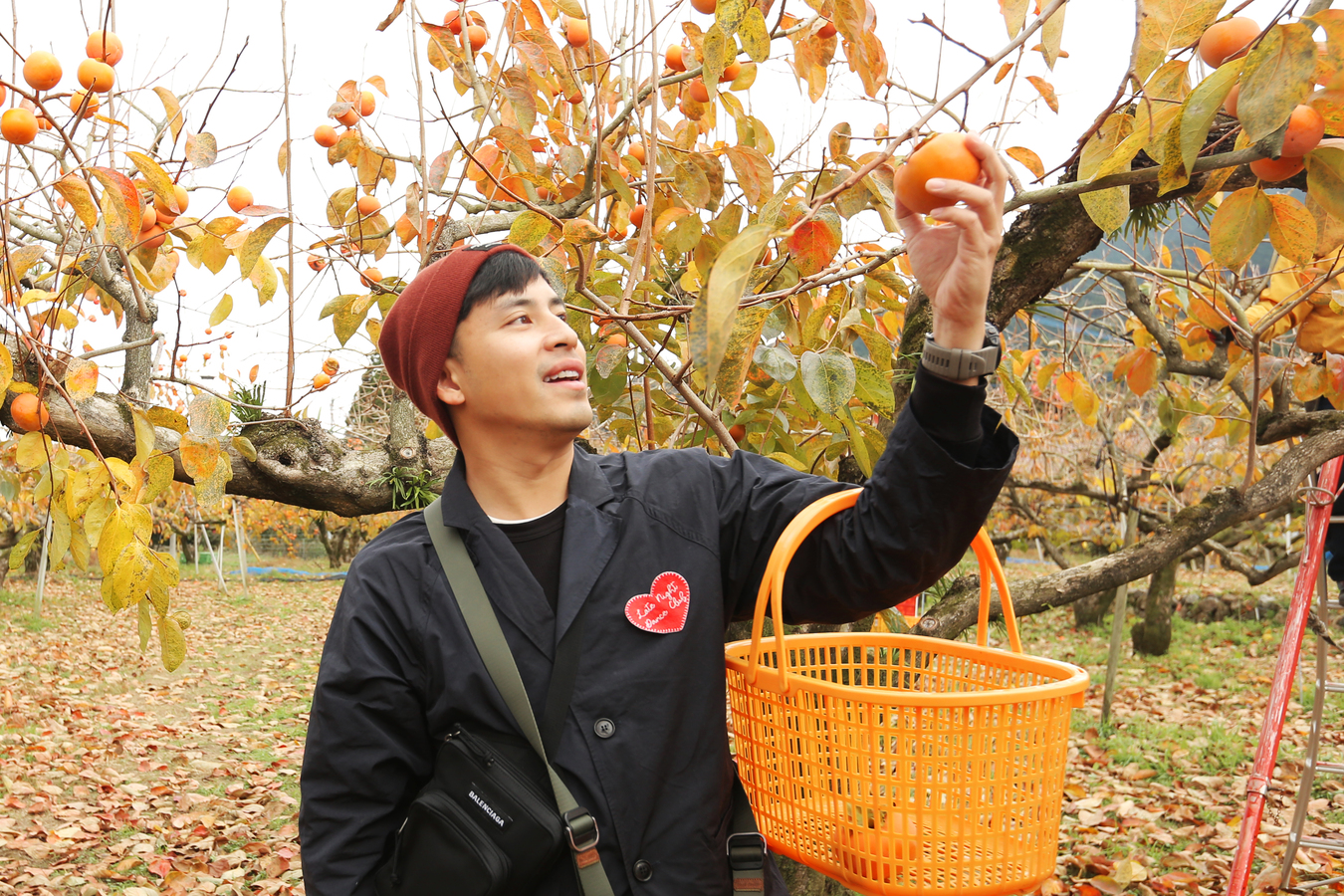 เก็บผลไม้คุรุเมะ(Kurume Fruit picking)