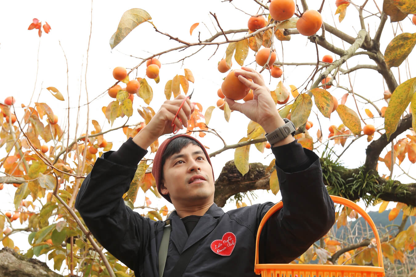 เก็บผลไม้คุรุเมะ(Kurume Fruit picking)