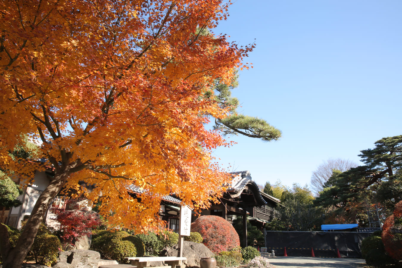 วัดโกโทคุจิ(Gotokuji Temple)