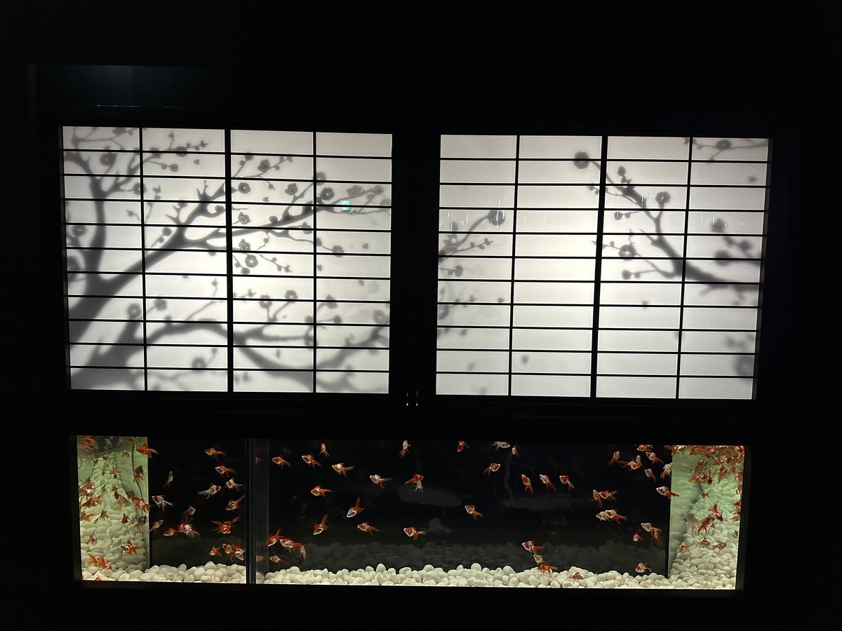 อาร์ต อควาเรียม มิวเซียม กินซ่า(Art Aquarium Museum Ginza)