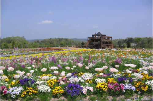 news-garden-spring-10
