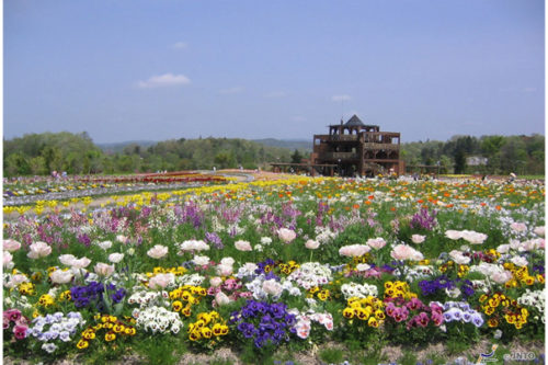 news-spring-garden-07