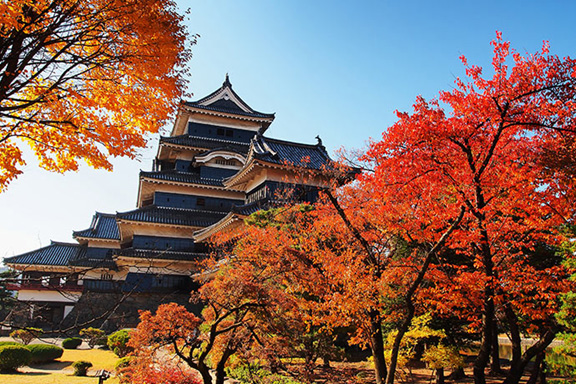 สัมผัสฤดูใบไม้เปลี่ยนสีผ่านมุมมองวิวปราสาทในญี่ปุ่น