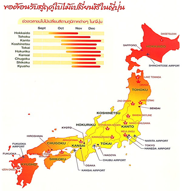 ช่วงเวลาทัวร์ชมใบไม้เปลี่ยนสีตามภูมิภาคต่างๆในญี่ปุ่น 2566 ขอบคุณข้อมูล การท่องเที่ยวประเทศญี่ปุ่น จาก องค์การส่งเสริมการท่องเที่ยวแห่งประเทศญี่ปุ่น (JNTO)