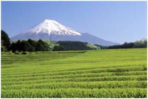 ภูเขาไฟฟูจิ มรดกโลกด้านวัฒนธรรม