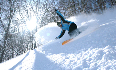 เล่นสกี (รายชื่อสกีรีสอร์ททั่วประเทศญี่ปุ่น)