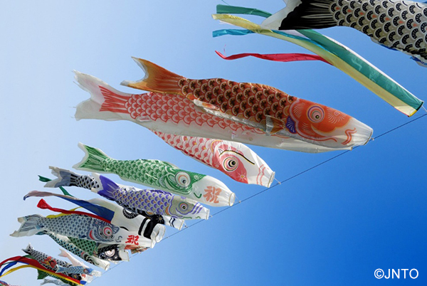 เทศกาล “ธงปลาคาร์ฟ” เพื่อขอพรให้เด็กเติบโตแข็งแรง