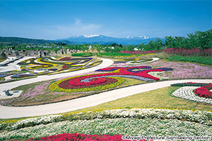 งานเทศกาลดอกไม้ประจำฤดูใบไม้ร่วงที่สวนมิจิโนะคุโมริโนะโคะฮัง<br>(Michinoku mori no kohan koen)