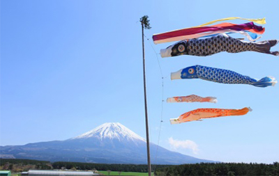 “เทศกาลธงปลาคาร์ฟ (Koi-no-bori Festival)”