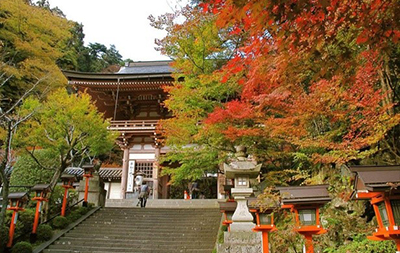 เที่ยวเมืองหลวงเก่าที่กรุงเกียวโต (Kyoto) ในฤดูใบไม้เปลี่ยนสี