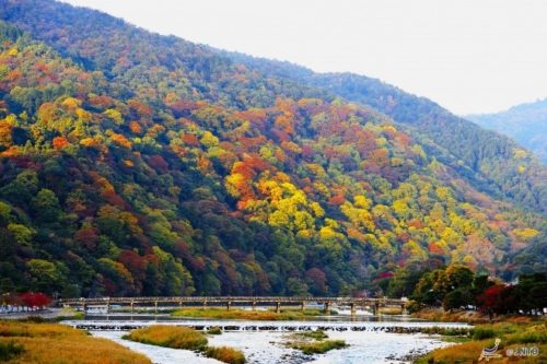 kyoto-in-autumn-09