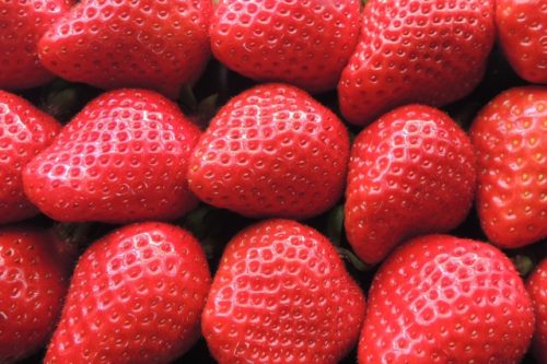 strawberry-10