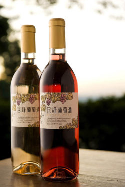 winery-in-japan-11