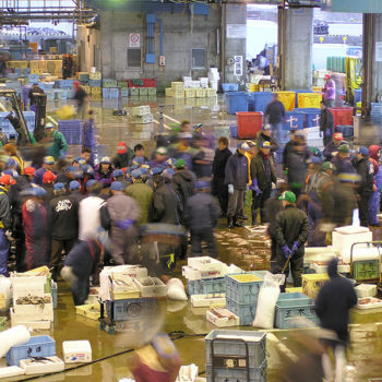 fish-market-09