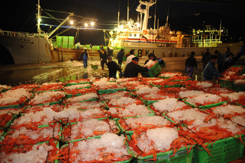 fish-market-12