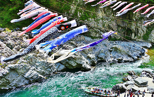 เทศกาลประดับธงปลาคาร์พ (Koinobori Festival) ทั่วญี่ปุ่น