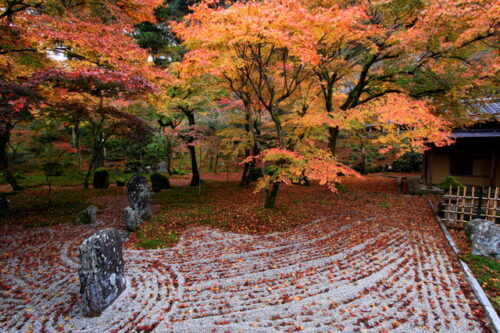 5-recommended-spots-autumn-leaves-in-kyushu-04