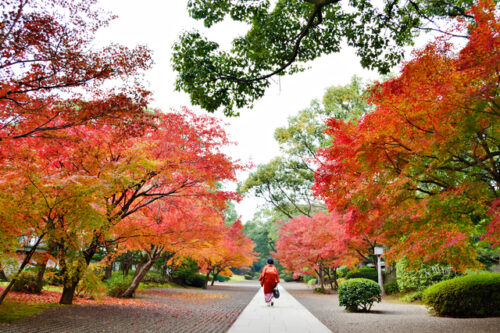 5-recommended-spots-autumn-leaves-in-kyushu-07