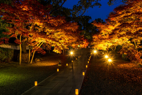 5-recommended-spots-autumn-leaves-in-kyushu-08