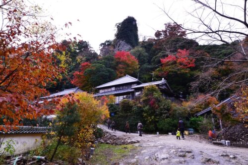 5-recommended-spots-autumn-leaves-in-kyushu-11