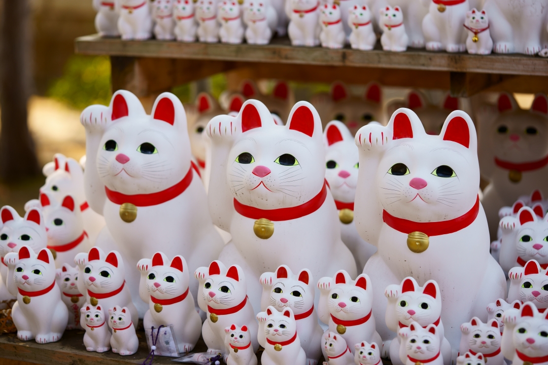 มาเนกิเนะโกะ (Maneki Neko)” แมวกวักนำโชคของญี่ปุ่น | เที่ยวญี่ปุ่น Jnto