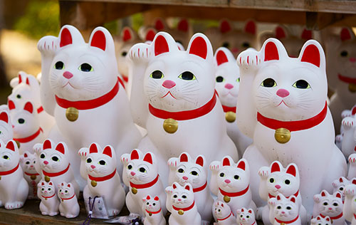 “มาเนกิเนะโกะ (Maneki Neko)”  แมวกวักนำโชคของญี่ปุ่น