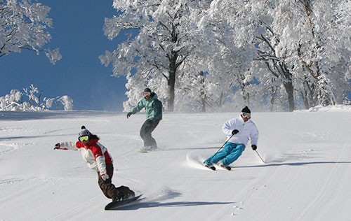 มือใหม่หัดเล่นสกี ต้องเตรียมตัวอย่างไร พร้อมบอกพิกัดลานสกีที่ญี่ปุ่น