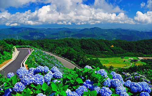 เที่ยวแบบ New Normal สนุก ปลอดภัย ตะลอนไปกับเส้นทางขับรถ ภูมิภาคชิโกะคุ (Shikoku) ตอนที่ 1