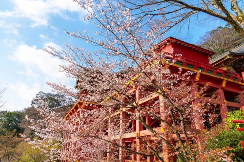 Yutoku Inari Shrine in Kashima city,Saga prefecture,Japan.