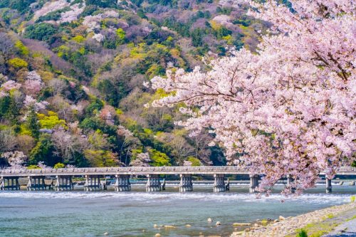 Arashiyama, Togetsukyo Bridge and cherry blossoms in spring scenery of Kyoto, Japan