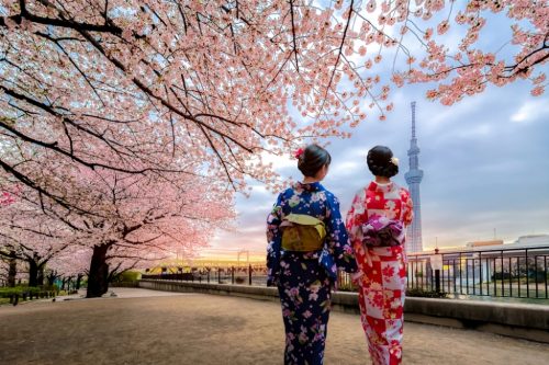 Tokyo, Japan - April 12, 2017:  Young women wearing traditional Japanese Kimono and Tokyo Skytree in public park at Sumida River near Asakusa, Tokyo