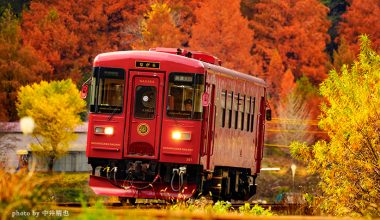 5 ขบวนรถไฟชมวิวใบไม้เปลี่ยนสีทั่วประเทศญี่ปุ่น